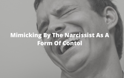 Mimicking By The Narcissist Is One Form Of Abuse