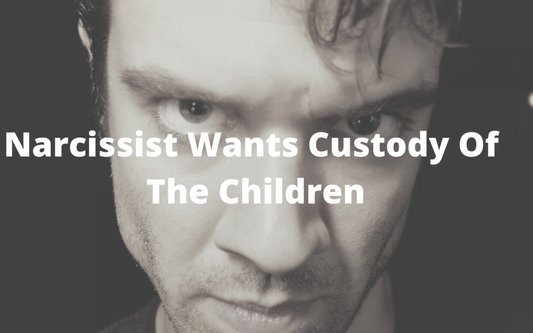 Narcissist Wants Full Custody Of The Children