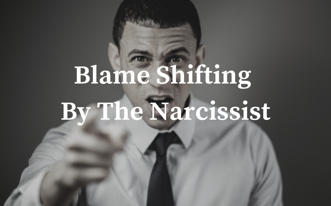 Blaming Narcissist -If only YOU would have