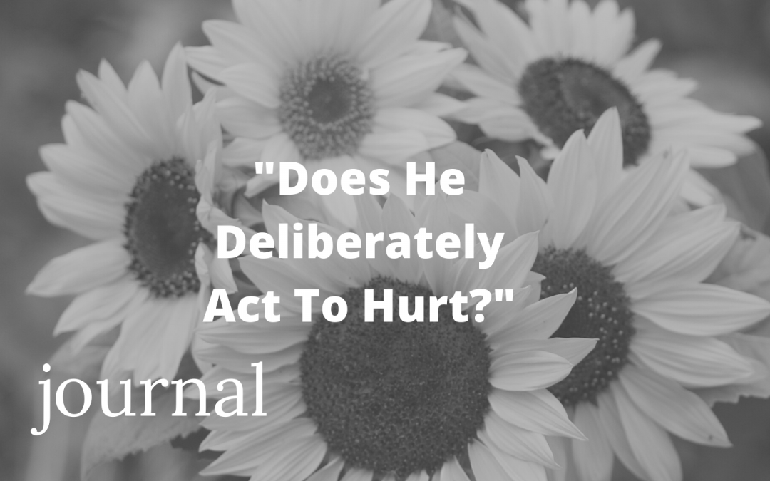 Does He Deliberately Act To Hurt? #4 From My Journal
