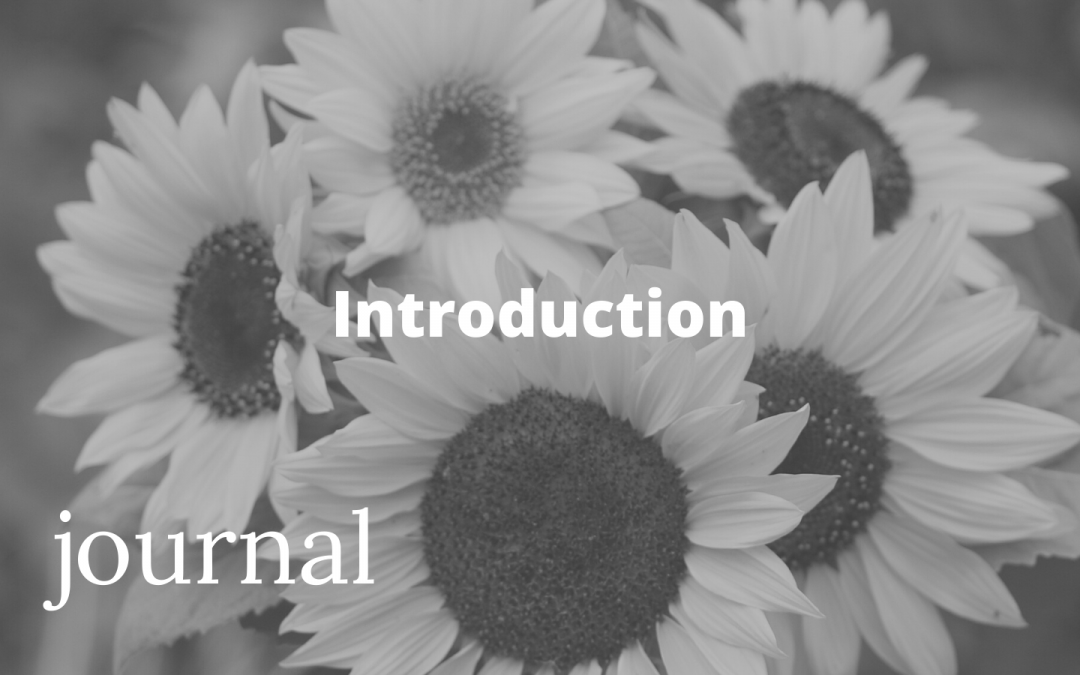 Journal – Introduction