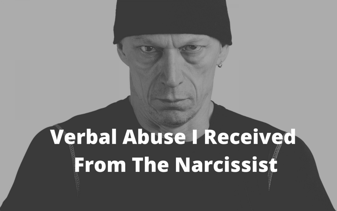 Verbal Abuse I Received Daily from The Narcissist